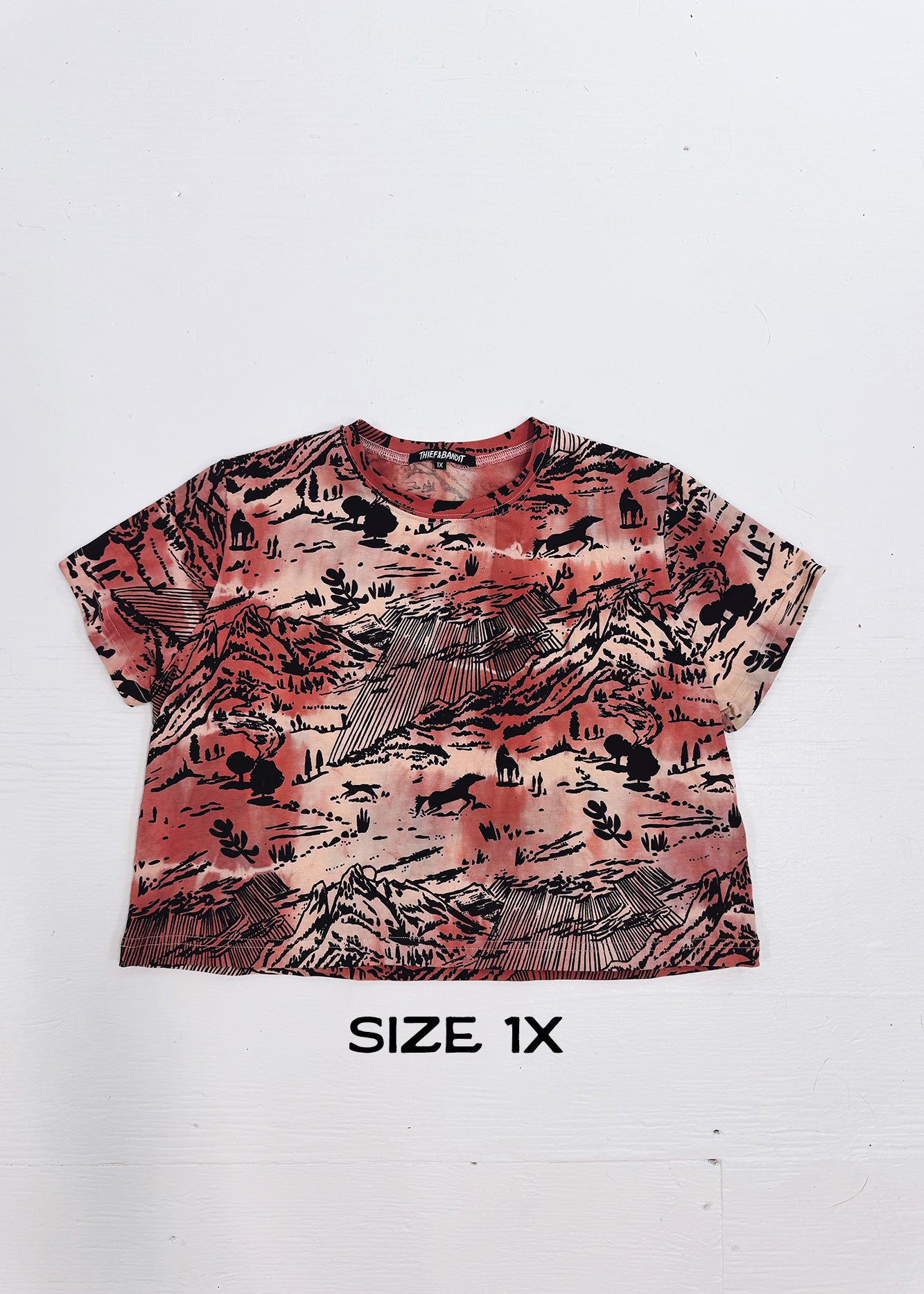 Coral Shadow Canyon Cropped Tees (Size 3X)