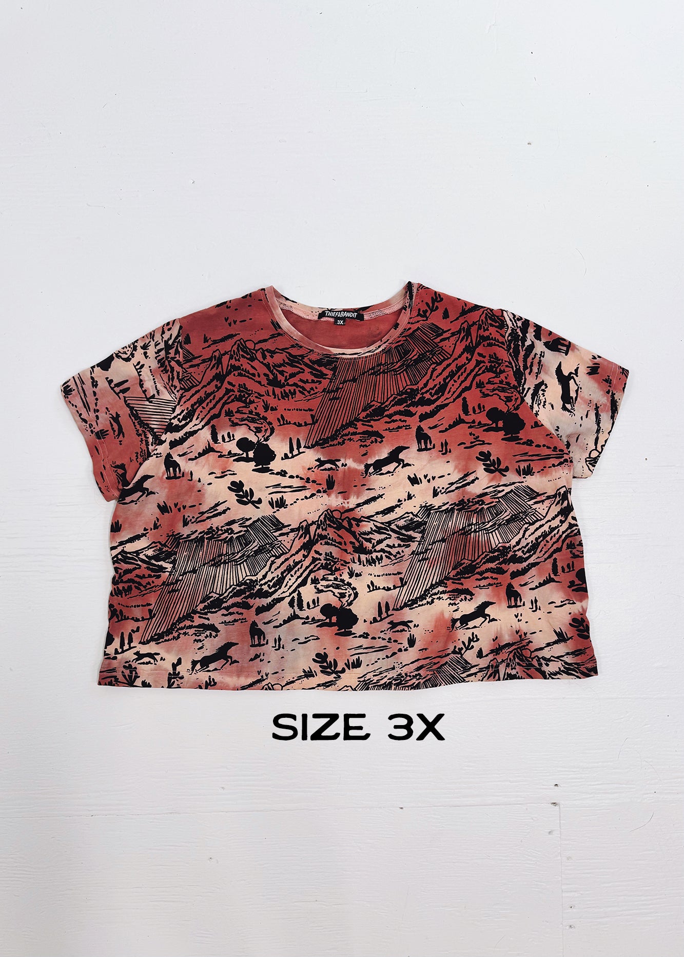 Coral Shadow Canyon Cropped Tees (Size 3X)