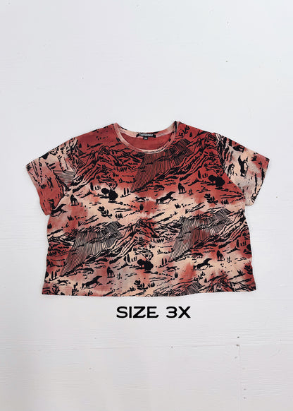 Coral Shadow Canyon Cropped Tees (Size 3X)