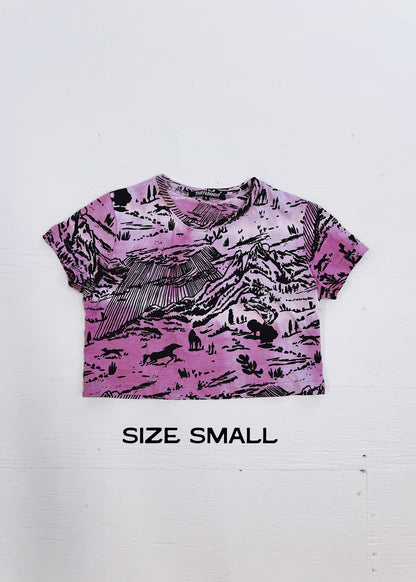 Strawberry Shadow Canyon Cropped Tees (Sizes S, 2X)